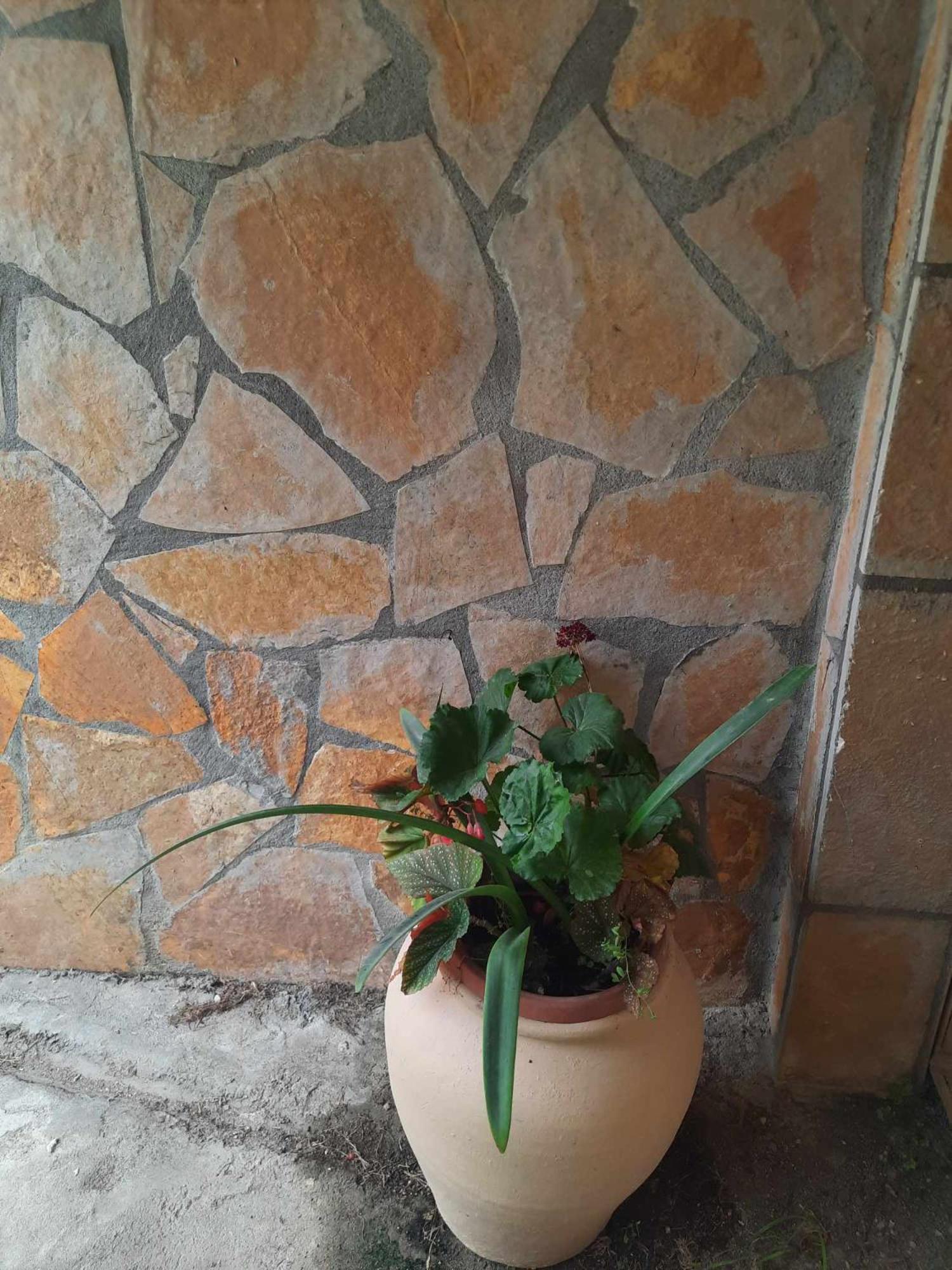 Apartament Maria Ipsos
