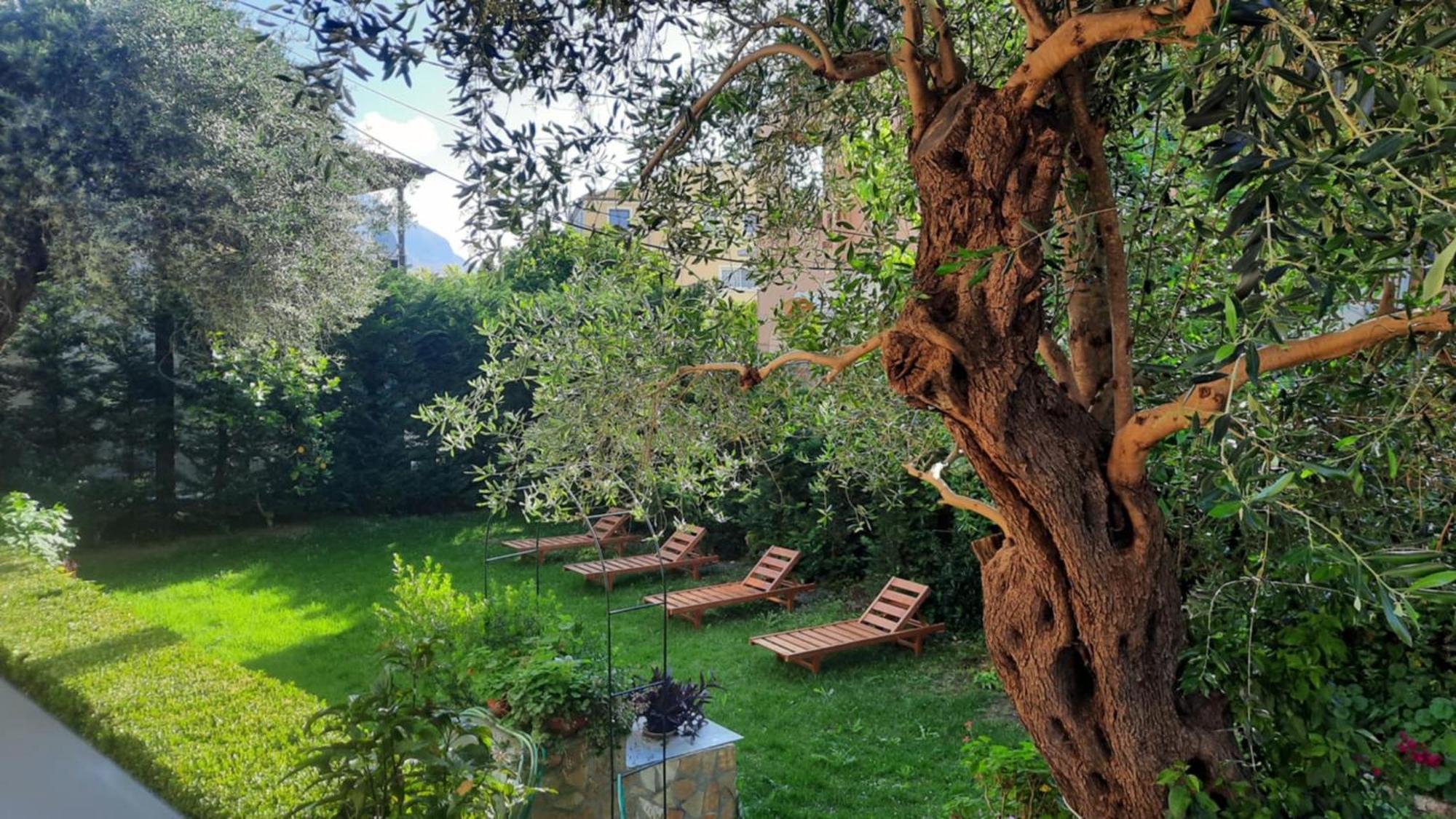 Apartament Maria Ipsos